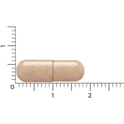 Vitakruid Lactoferrine 150 Mg -Verzorgingsproducten Winkel 1054157 4