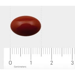 Orthica Teener Multi -Verzorgingsproducten Winkel 726011 4