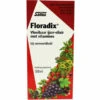 Floradix Vloeibaar Ijzer-Elixer Met Vitamines -Verzorgingsproducten Winkel 981151